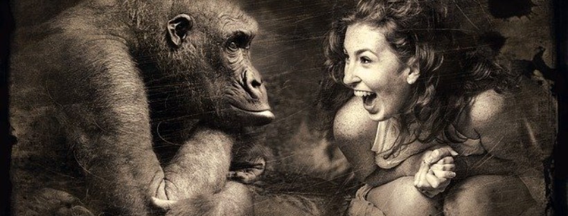 Best Funny Jokes Moms Bloggers Websites Best Funny Jokes Moms Bloggers Websites
